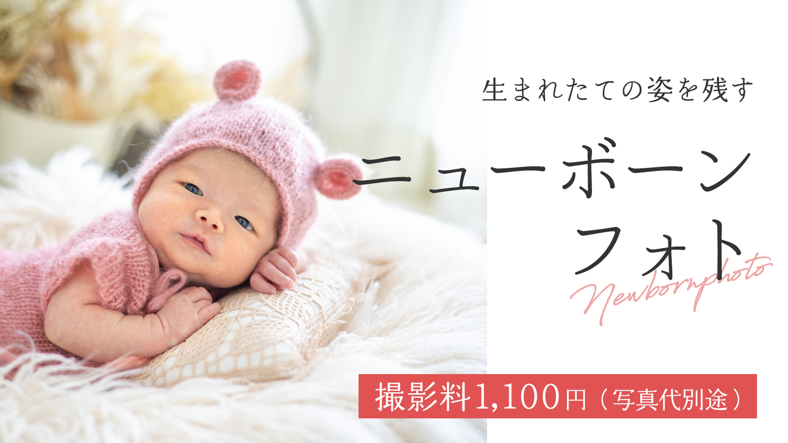 Campaign Image
